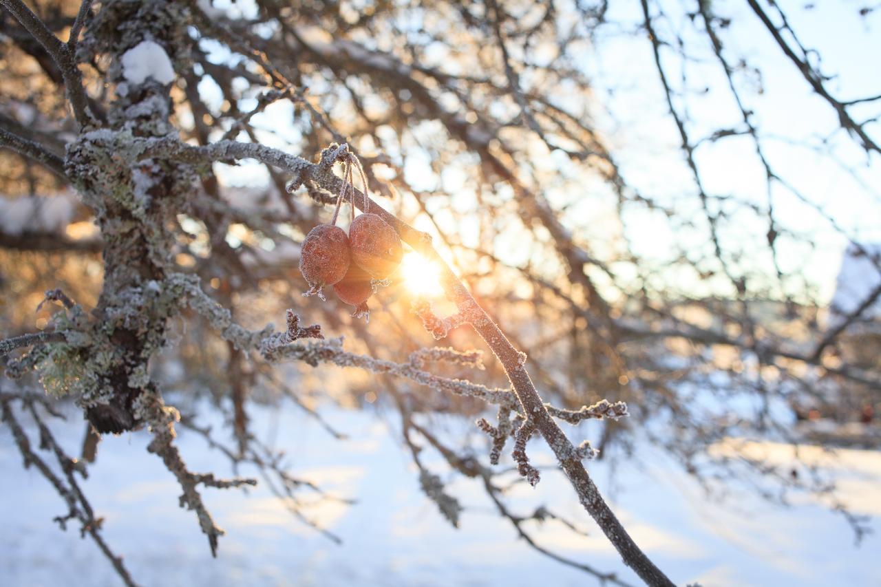 Järvsö Helsingegarden 호스텔 외부 사진
