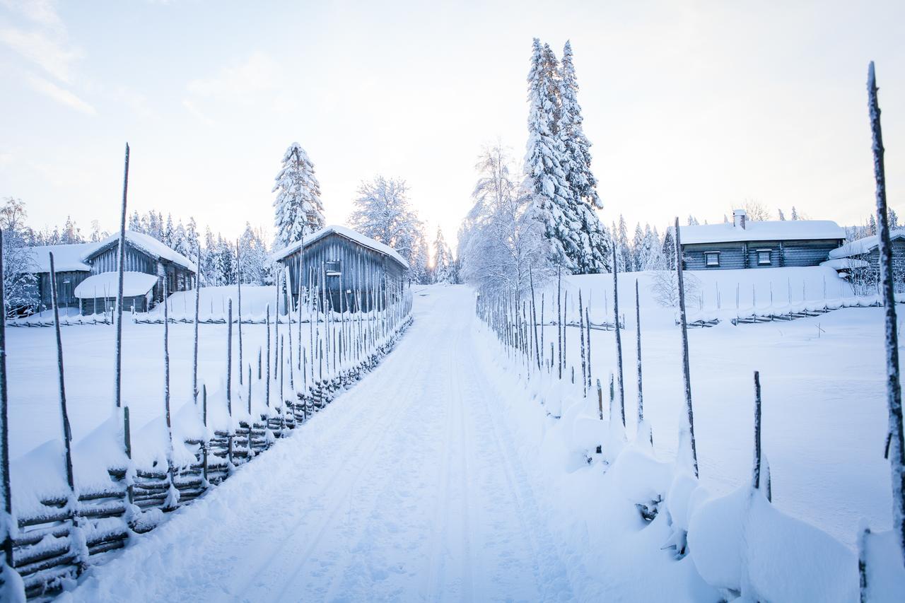 Järvsö Helsingegarden 호스텔 외부 사진